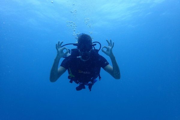 received_1985658171506513